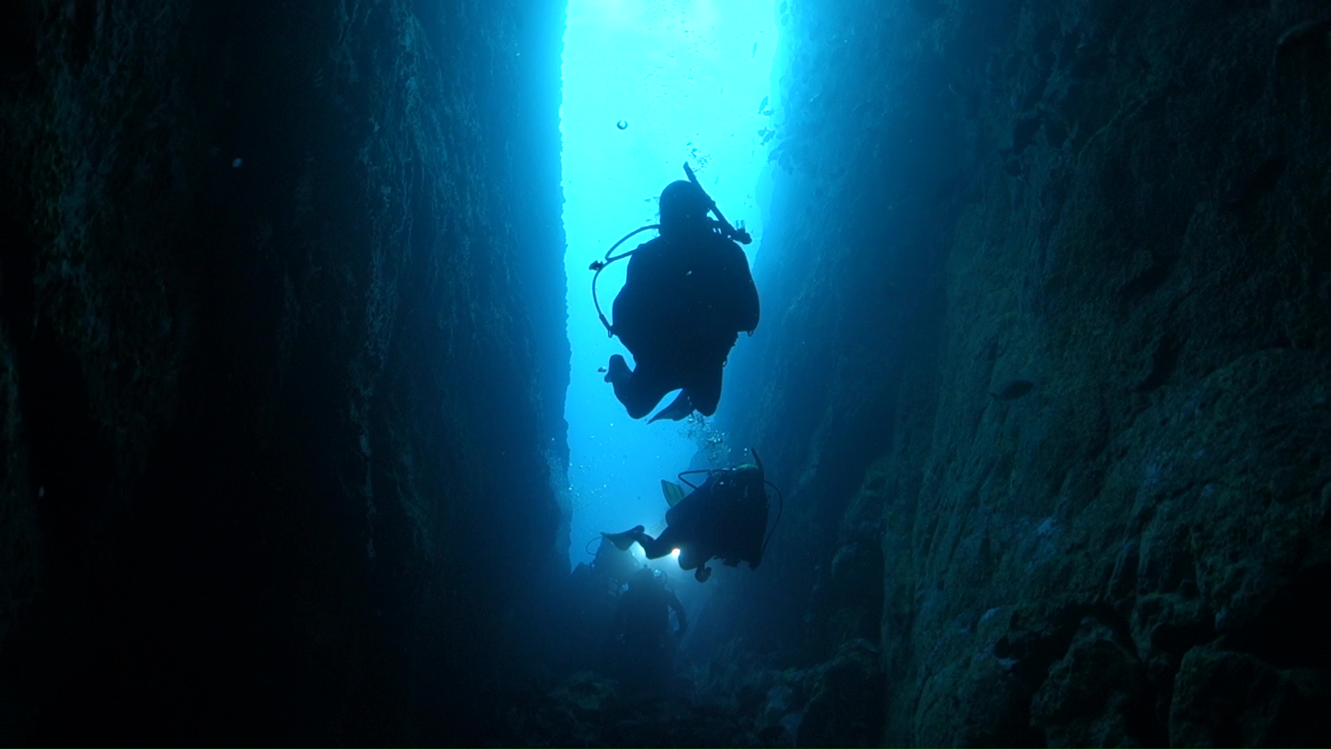 Colombia - credit Malpelo Tours