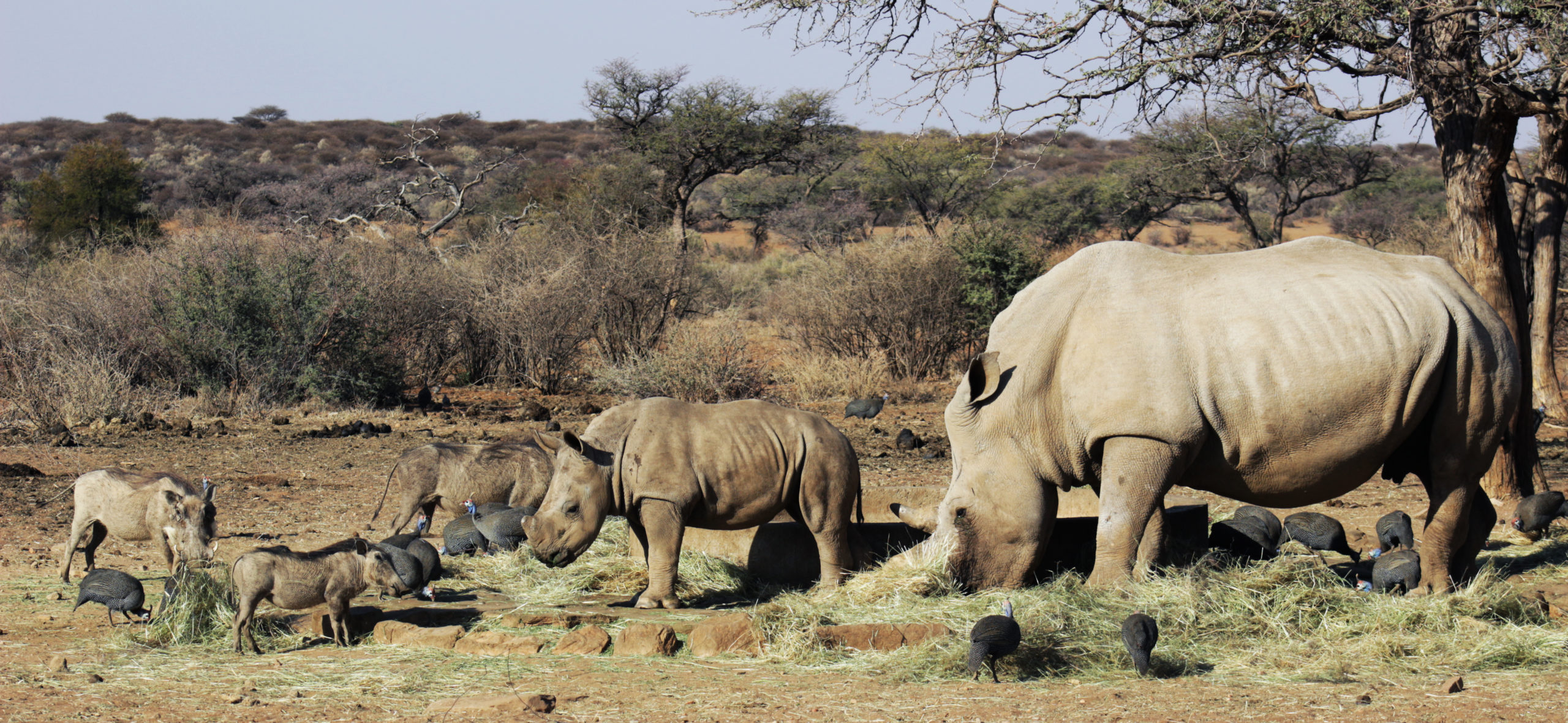 Namibia