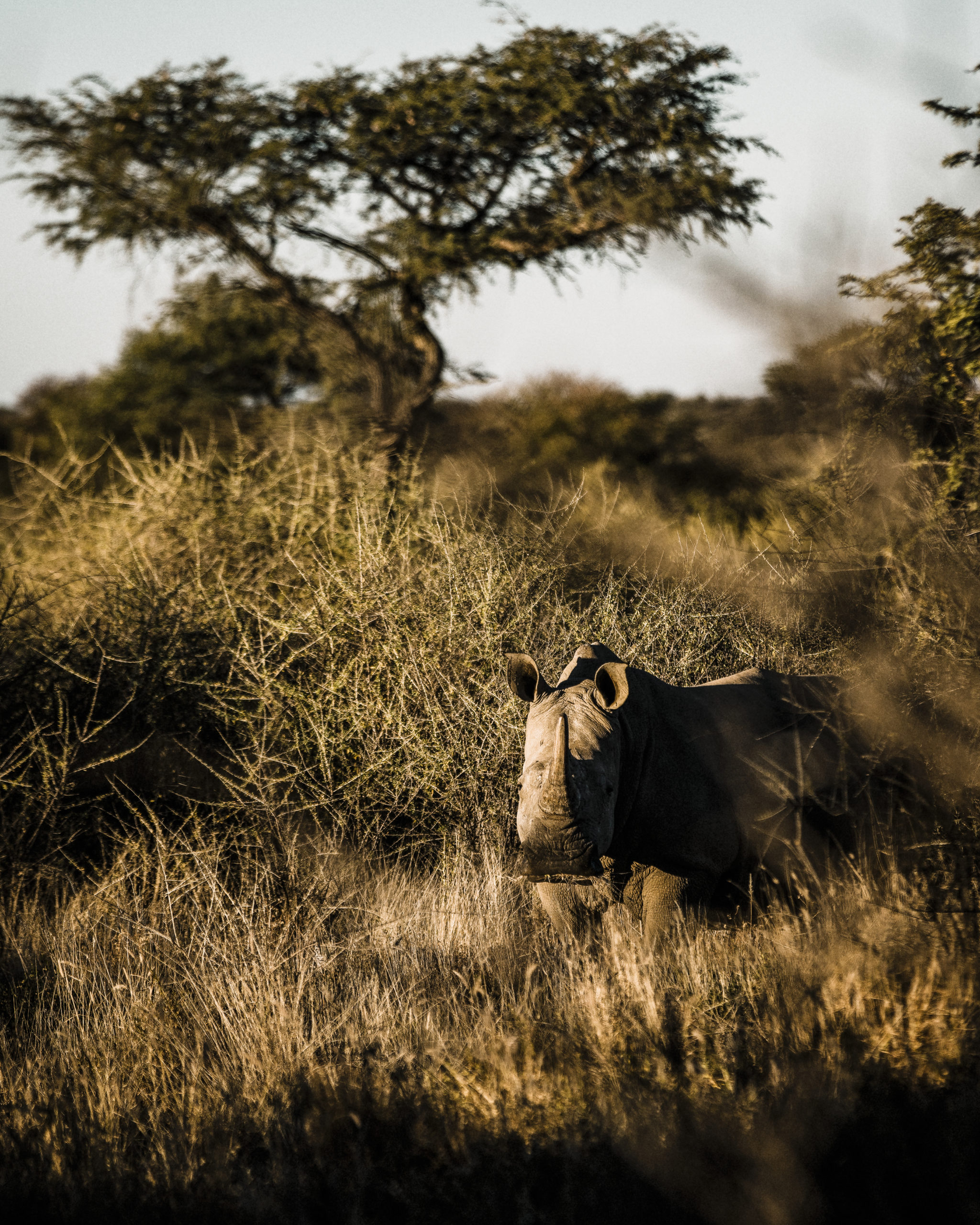 Namibia Zannier Hotels Omaanda - Excursion 10 - © Zannier Hotels