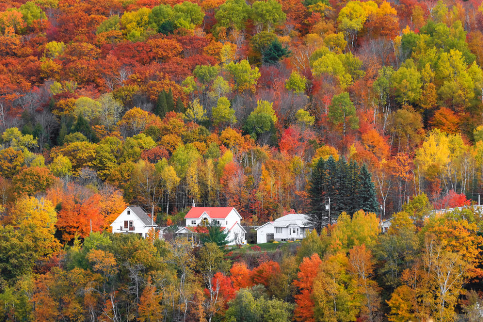 Fall colored trees in the fountains and four white houses in the middle.