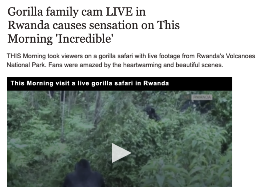 Screenshot of a news article with the headline