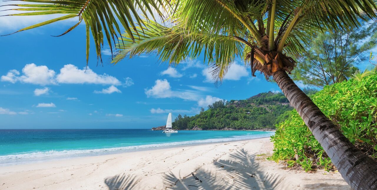 Beautiful sandy beach with palm and a sailing boat in the turquoise sea on Jamaica Paradise island.