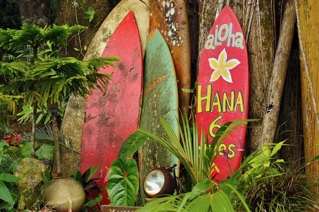 Aloha surf boards displayed against a tree