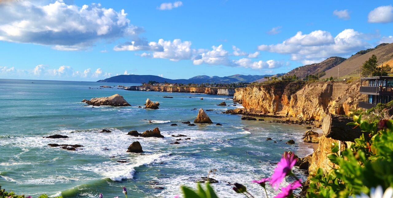 Pismo coastline, picture of the waves crashing against a cliff and small purple flowers in the view of picture