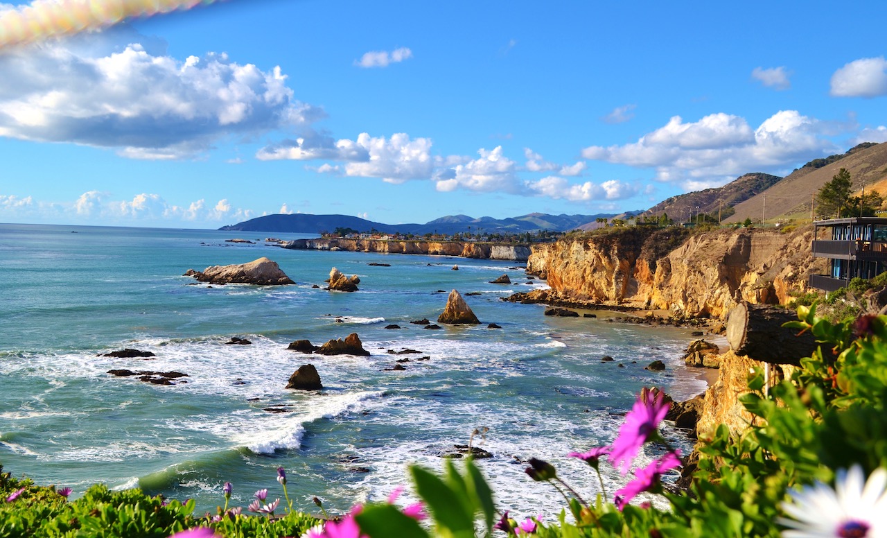 Pismo coastline, picture of the waves crashing against a cliff and small purple flowers in the view of picture